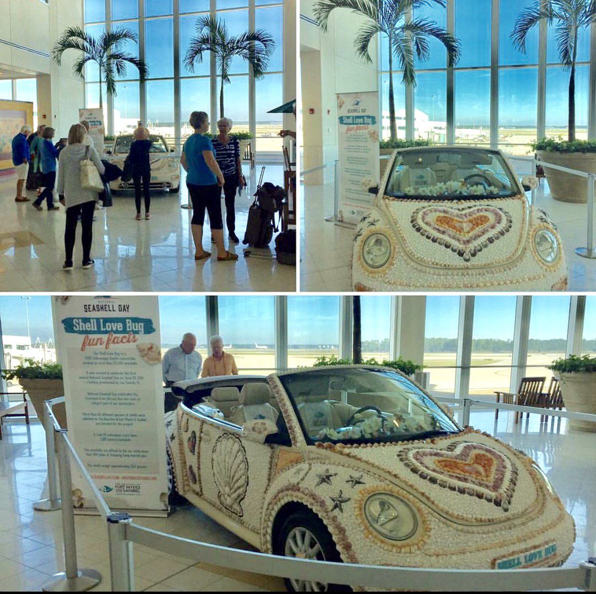 ShellLoveBug tweet picture