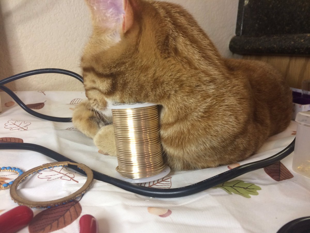 PRGRMband's tweet photo. No need for a pillow #CatsOfTwitter #NoPillowDay #HelperDown https://t.co/LuRW3tOVhs