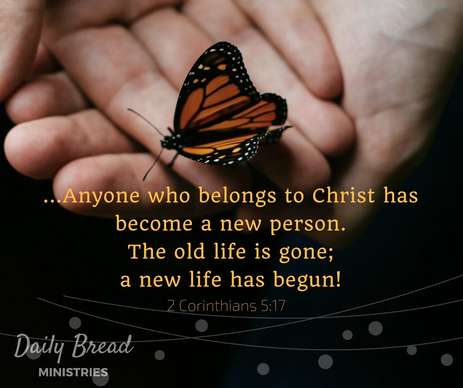 DBMinistries's tweet photo. #DailyBreadMinistries    https://t.co/eQKztVWNeM https://t.co/Yrccqz1EDU