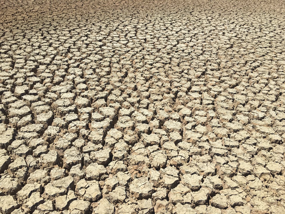 keith sayster tweet media