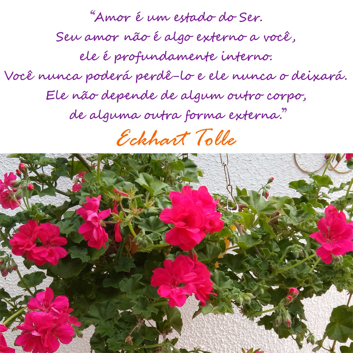 madalenabmello's tweet photo. https://t.co/LGBkI0OnQl
#cor #luz #brilho #consciencia #infinito #unicidade #totalidade #poesia #espiritualidade #quietude #ser #vida #amor https://t.co/IAAGMlsRen
