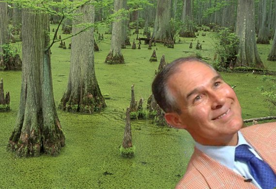 JimBroNXP's tweet photo. #PollutingPruitt's Oedipus Complex: Drillin'#MotherEarth/Killin' #FatherSky
Dumb #MotherFracker
#SaveLivesStopPruitt
#DefendEPA https://t.co/OrTeqWncD7