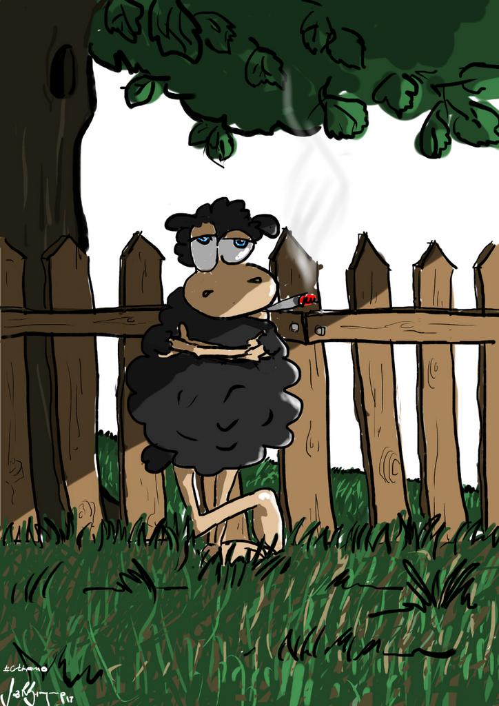 vladimirdlazic's tweet photo. #Crtkamo crnu ovcu https://t.co/W8dWUffQHI