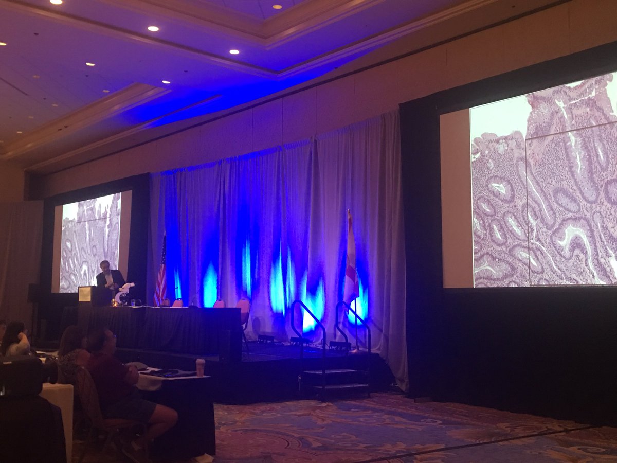 FLPathologists's tweet photo. Dr. Lauwers is now talking about what is new and worth discussing in chronic #colitis &amp; associated #dysplastic #lesions #flpathconf #path https://t.co/gkLlUydk1B