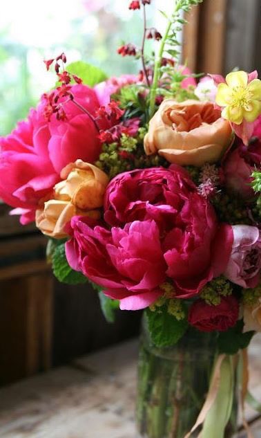AgustinaBrizzi's tweet photo. · : Agustina Brizzi​ : · #flowers #flower #petals #nature #beautiful #love #pretty #plants #flowerstagram #flowerslovers #floweroftheday https://t.co/6IfH5Yr1vV