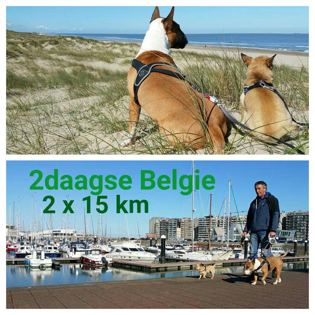 FlaNieAmLay's tweet photo. @imlwalking ingeschreven voor de 2daagse Belgie https://t.co/DAeNlJmDLs