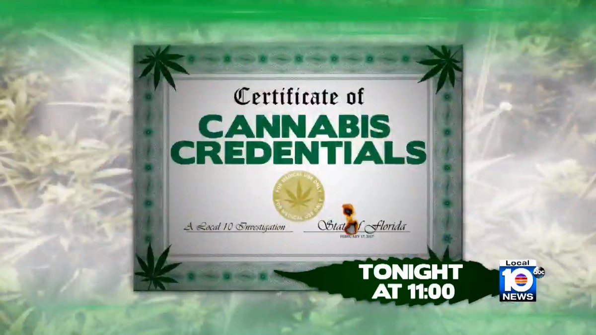 Fla. #pot czar's credentials may be thinner than rolling paper. Bob Norman investigates TONIGHT at 11 https://t.co/2ZhrfBhoRr
