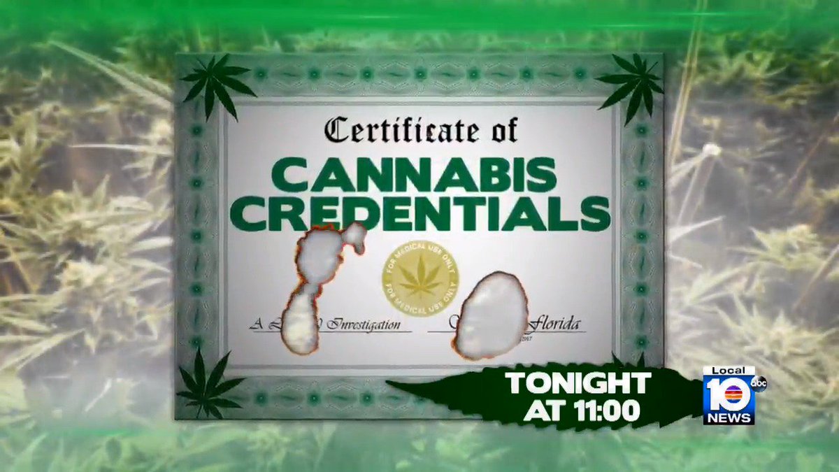 Fla. #pot czar's credentials may be thinner than rolling paper. Bob Norman investigates TONIGHT at 11 https://t.co/setwg9ZEcb