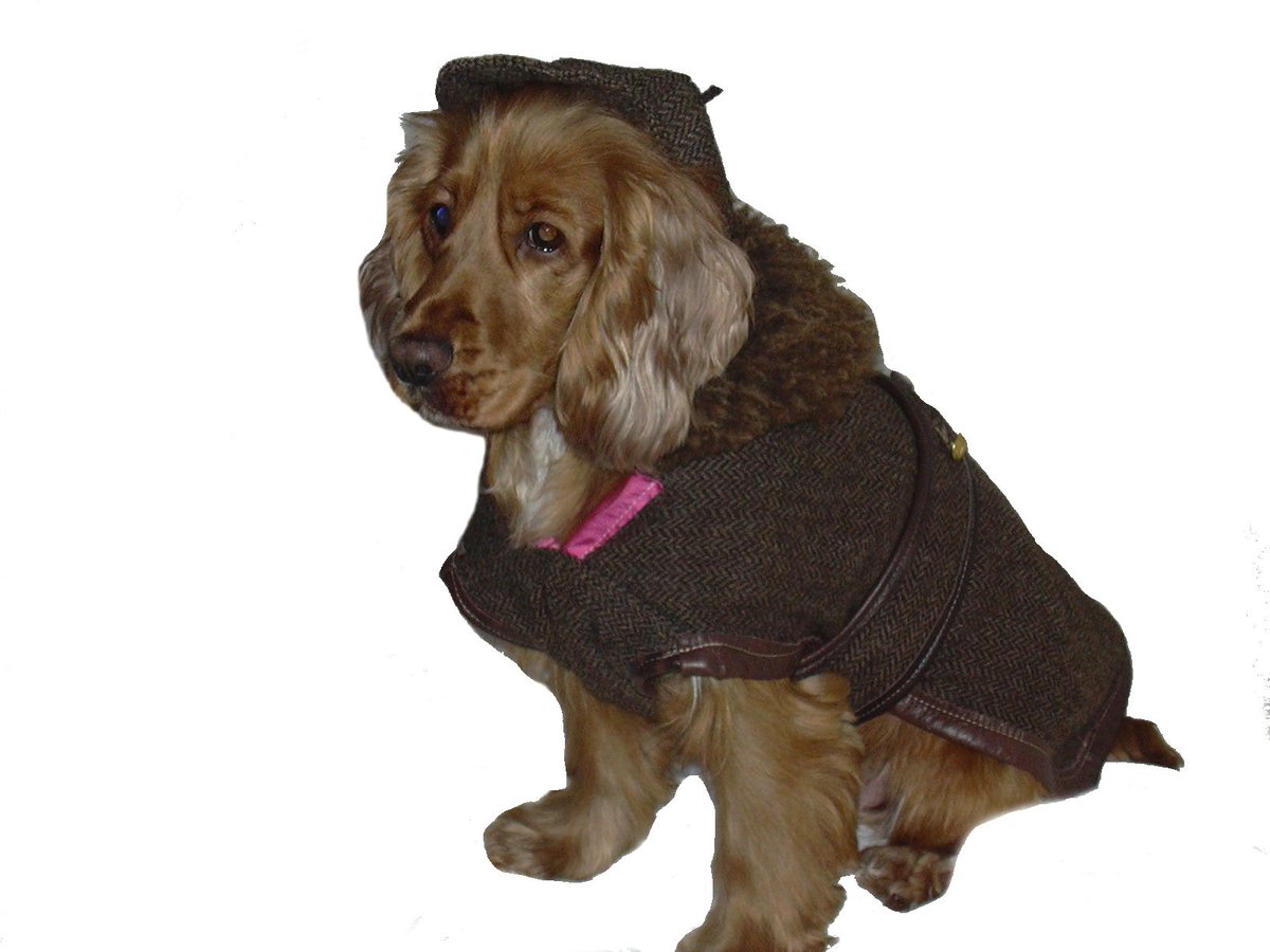 ZoeCalder2's tweet photo. PURE MANX LOAGHTAN TWEED &amp; SHEEPSKIN DOG COATS S, M, L, XL https://t.co/Bf7YjIaX73