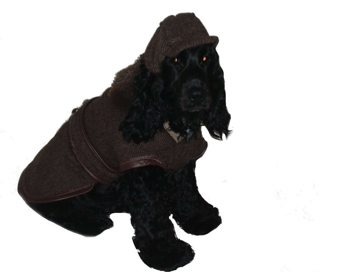 ZoeCalder2's tweet photo. PURE MANX LOAGHTAN TWEED &amp; SHEEPSKIN DOG COATS S, M, L, XL https://t.co/TC2AOVlRAI