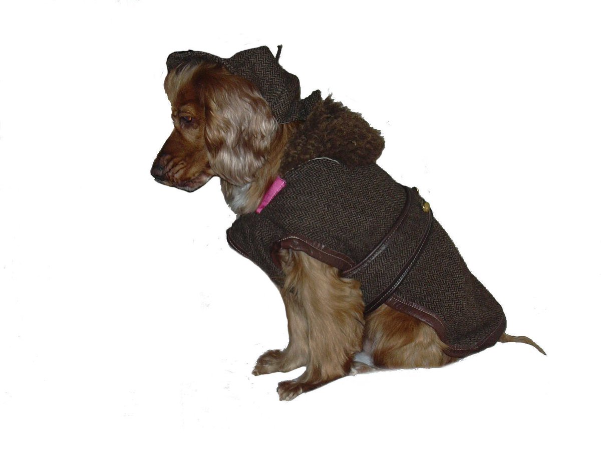 ZoeCalder2's tweet photo. PURE MANX LOAGHTAN TWEED &amp; SHEEPSKIN DOG COATS S, M, L, XL https://t.co/4bpis3CtTe