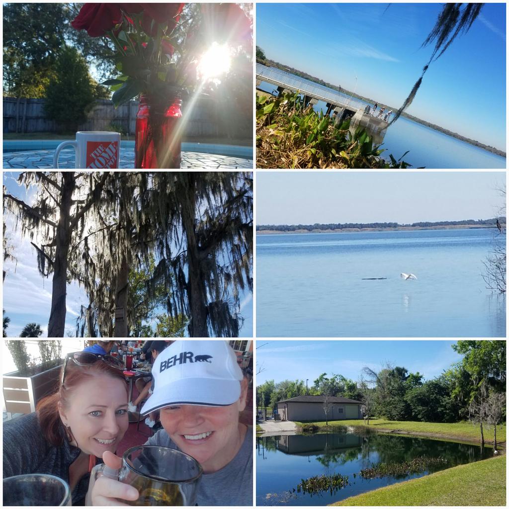 Chris561971's tweet photo. Enjoyed my day off from the Depot.  #freshwaterinfloridia #gator https://t.co/smZO2Ji72K