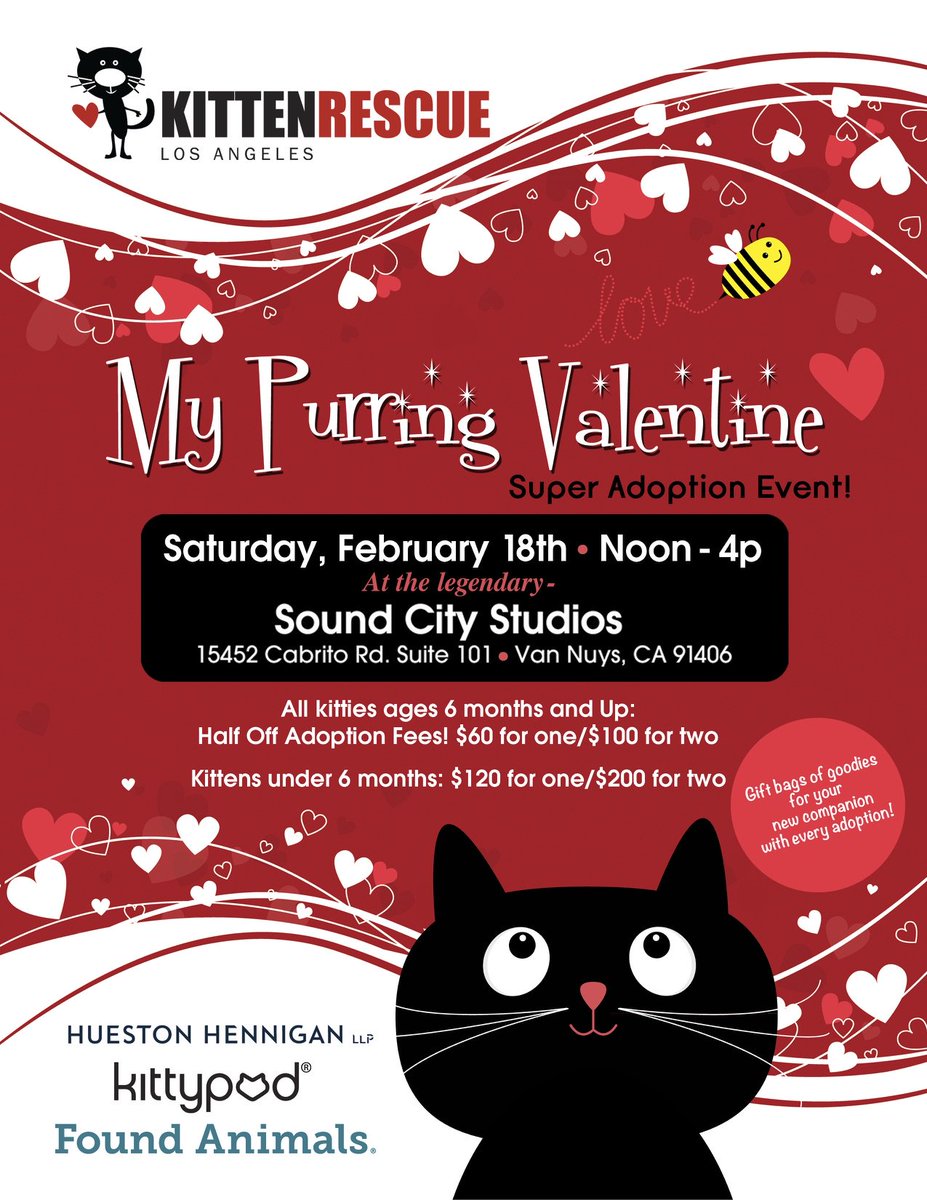 KittenRescue's tweet photo. Half off adoption fees! Gift bags with adoptions! Adopt your purring valentine tomorrow at @SoundCityStudio #KittenRescueLA https://t.co/b8KFkIq0s6
