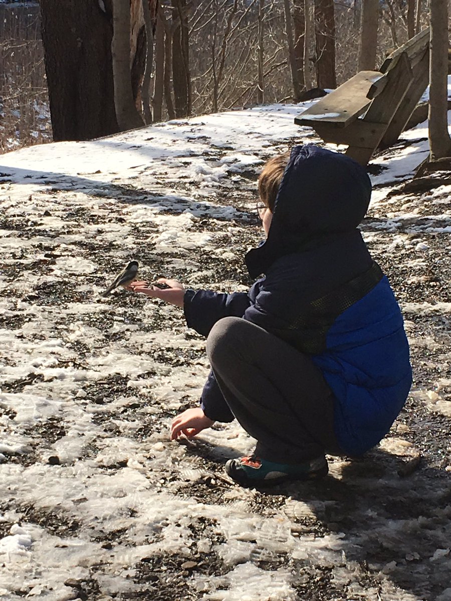 The little boy got to hand feed the #chickadees at #Geaugaparkdistrict #WestWoods.