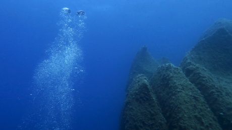 CBC British Columbia tweet media