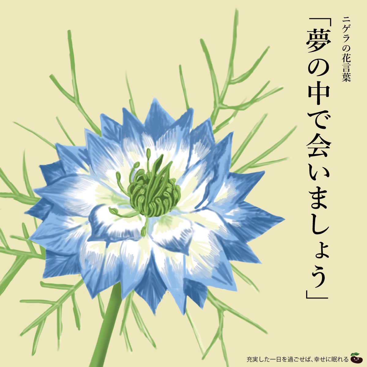 はな言葉 葉菜桜花子 新作ドレスできました 在 Twitter 上 きょう2月18日は 安眠の日 睡眠時間の規定通りしっかりと休もうという日 白いポピーの花言葉は 眠り ニゲラの花言葉は 夢の中で会いましょう T Co 9tn9cbq32m Twitter