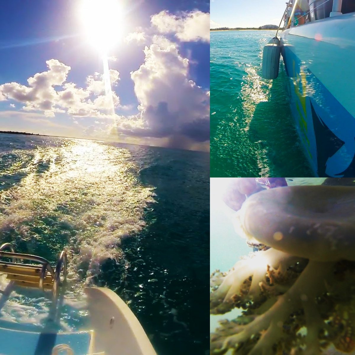 SavvyKateNash's tweet photo. Where is your favorite spot for watersports? #Scuba #Watersports #Travel #Savvy #ThatSweetOceanBreeze https://t.co/qvQf582rbd