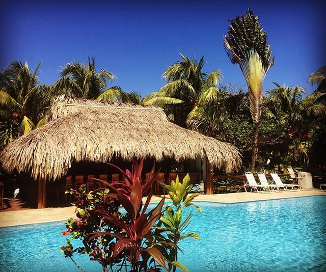 AKResort's tweet photo. Is it 5 o’clock yet? #anthonyskeyresort #anthonyskey #roatan #honduras #caribbean : @boris1397 https://t.co/2s9KmzpIgZ