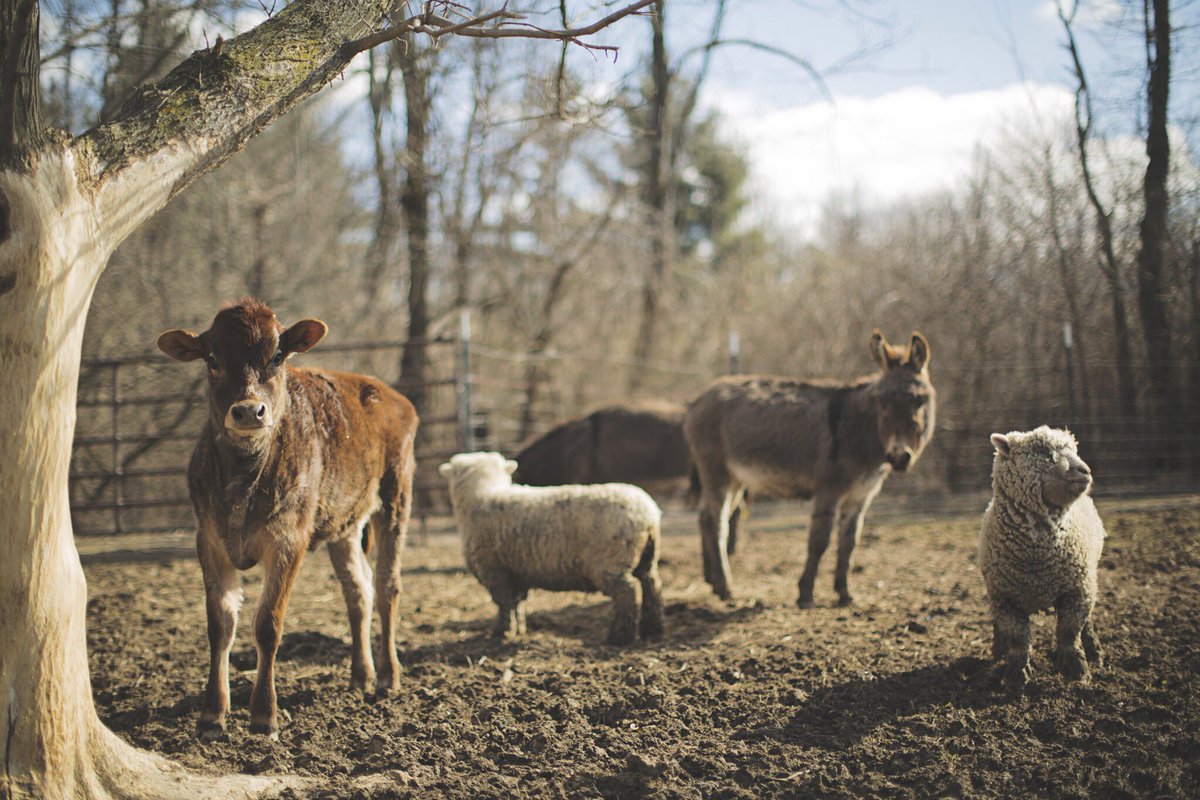 MartinDigital's tweet image. Don't tease Ohio, it's feeling like #Spring!