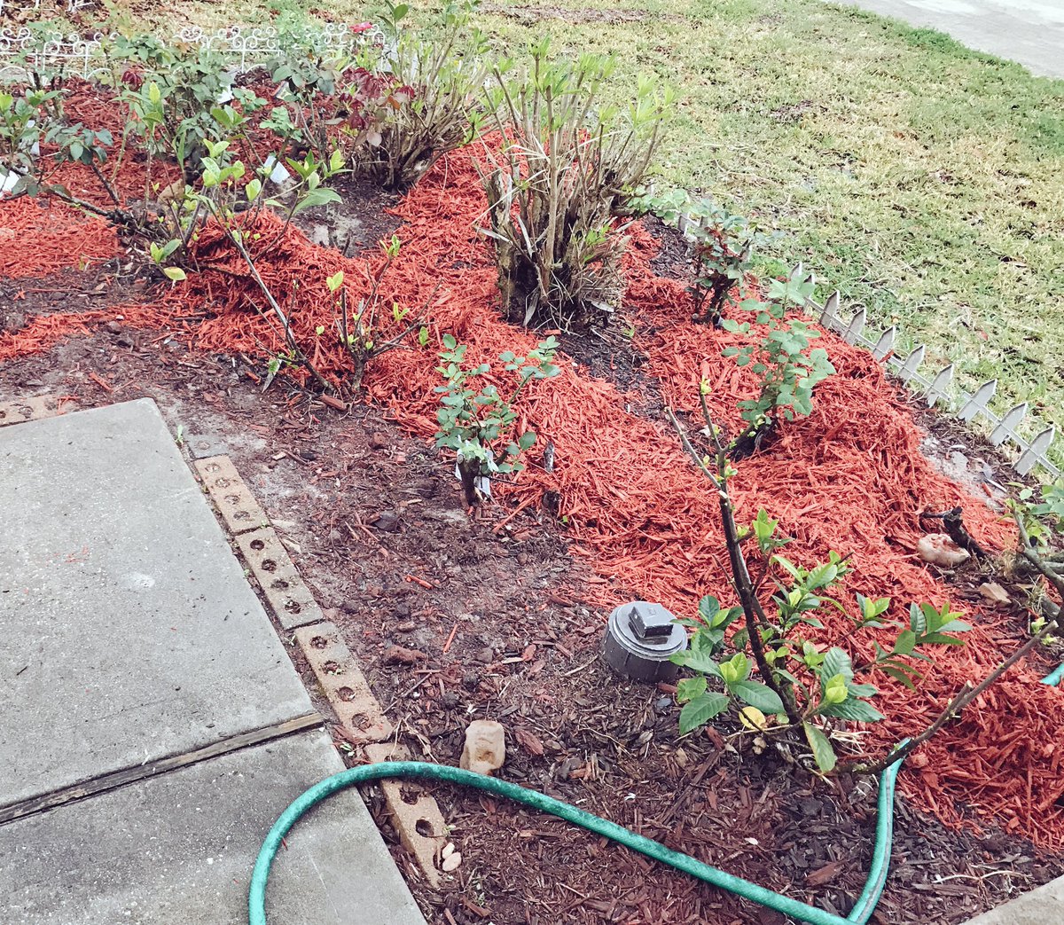 Helped my mom with spreading her newly bought #mulch from Walmart. She's got a #yardproject going on