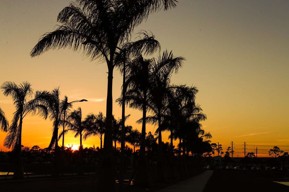 Houston Astros tweet media