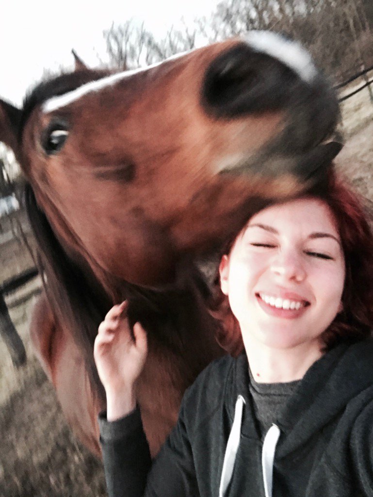 picklebrine3's tweet image. When you try to take a horse selfie and accidentally sum up your entire relationship #horsenation #photofail