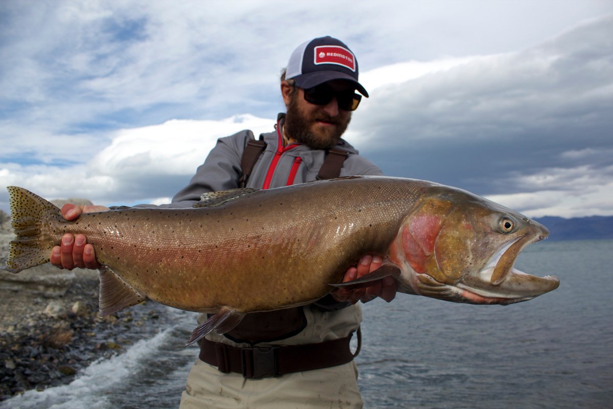 RedingtonGear tweet picture