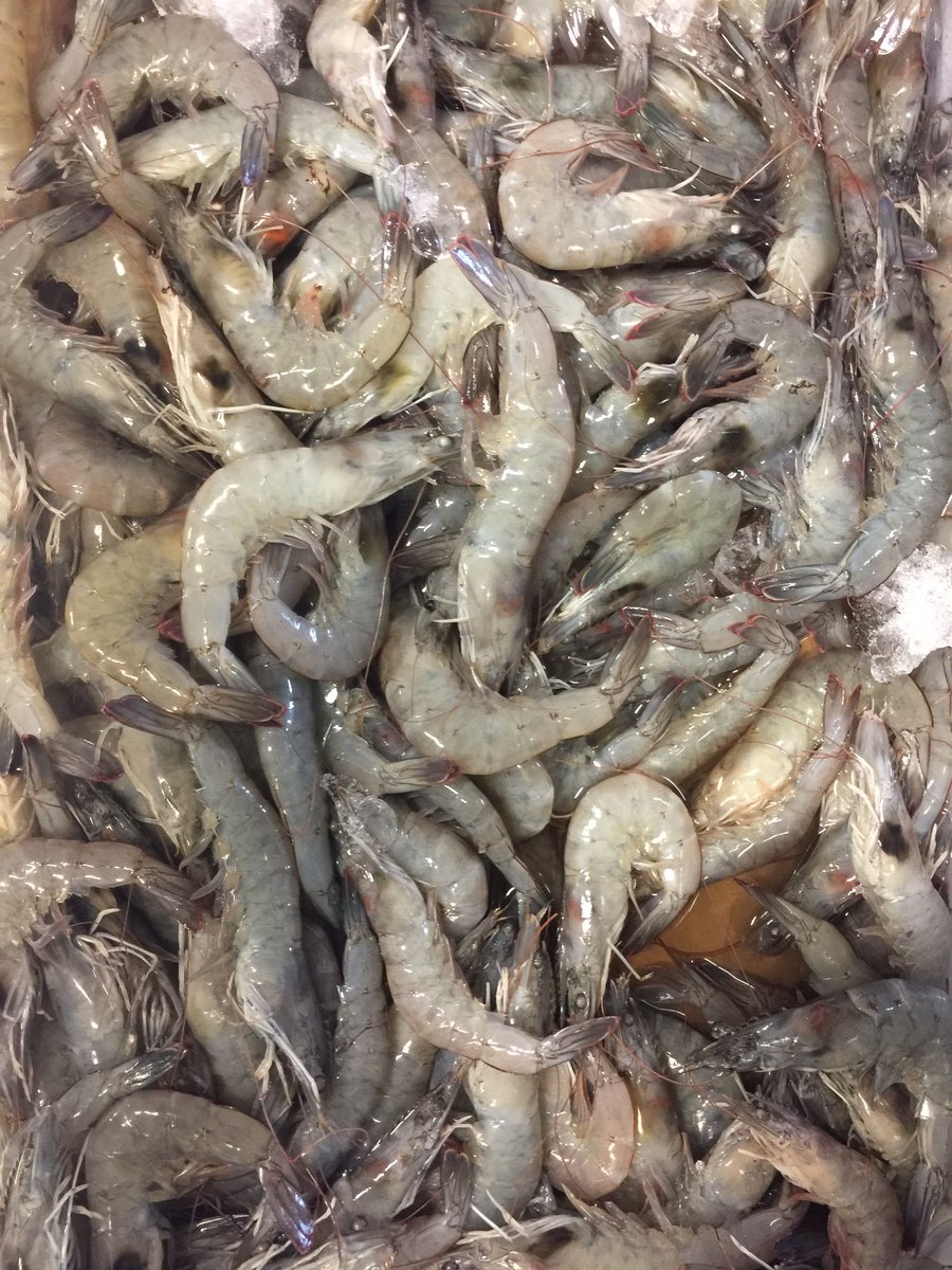 hinterlandwine's tweet photo. Beautiful @firstshrimp have arrived just in time for #hinterlude with @CountyRoadBeer &amp; @joebeef &amp; @thegastropub https://t.co/jrizcv0YOl