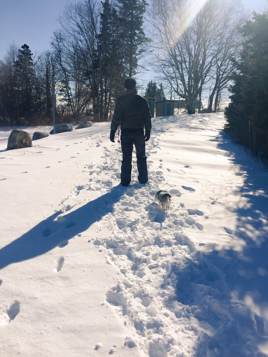 LensTinyToes's tweet photo. It's winter. I hate winter. They make me wear ridiculous sweaters when we walk in the woods. https://t.co/UVVpA41JQx