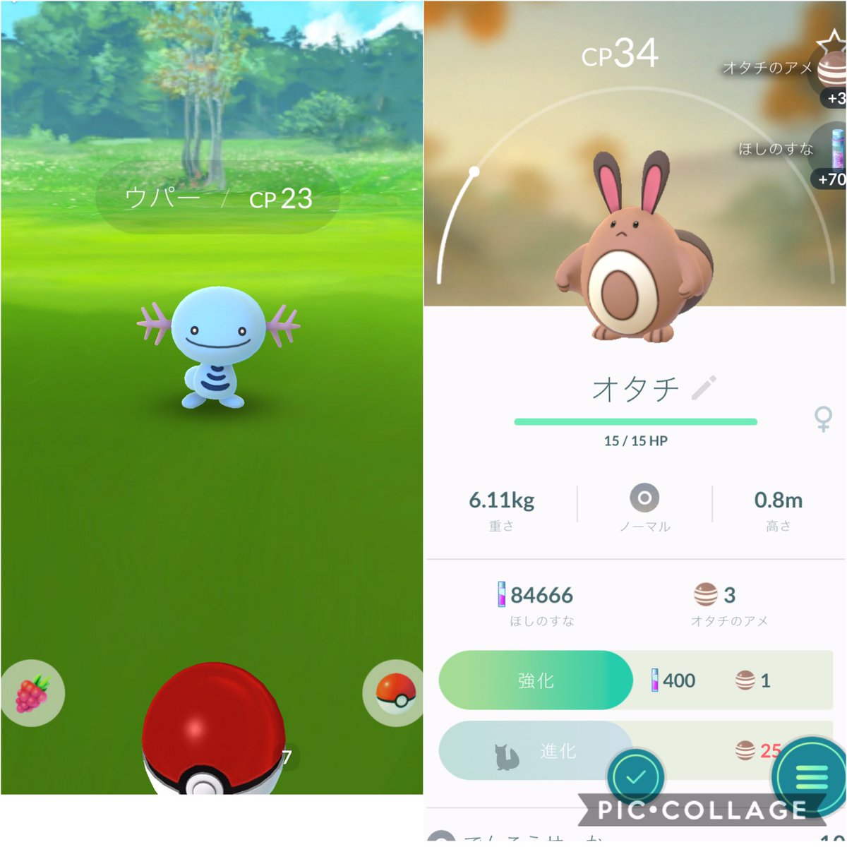 かわいい Pokemongo ポケモンgo オタチ ウパー 野口綾子 Scoopnest