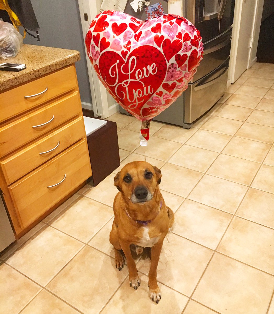 flacaguerrerog's tweet photo. I love u TOO Pinchi https://t.co/r5l4cXga84