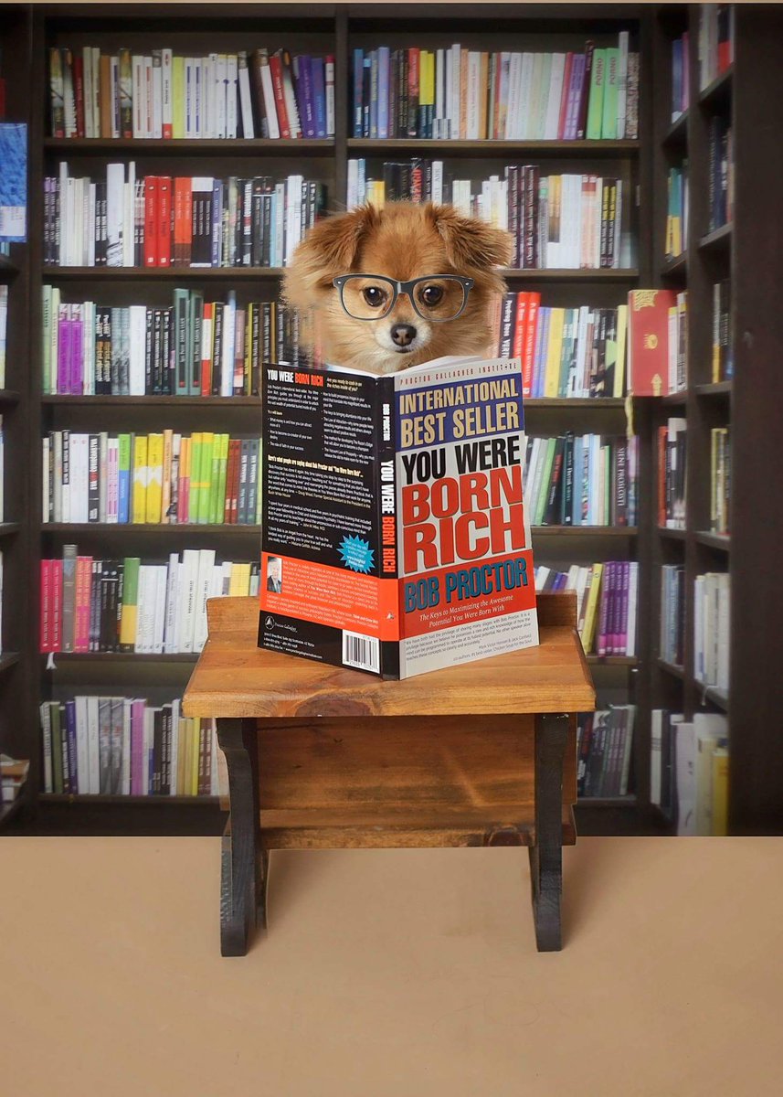 celticcharmer's tweet photo. Coco reading our favorite book. YOU WERE BORN RICH - BOB PROCTOR #BobProctor #awakentosuccess #lawofattraction 
https://t.co/ukiVC42U2x https://t.co/wO5n7ICfpK