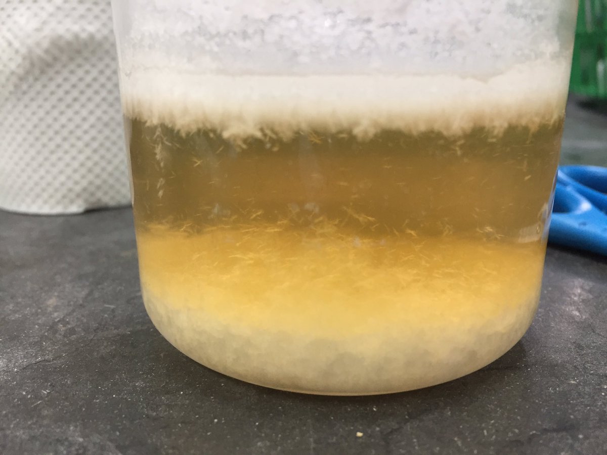 adArenaline's tweet image. Buti ka pa, di mo ko binigo ❤HAHAHA #recrystallization