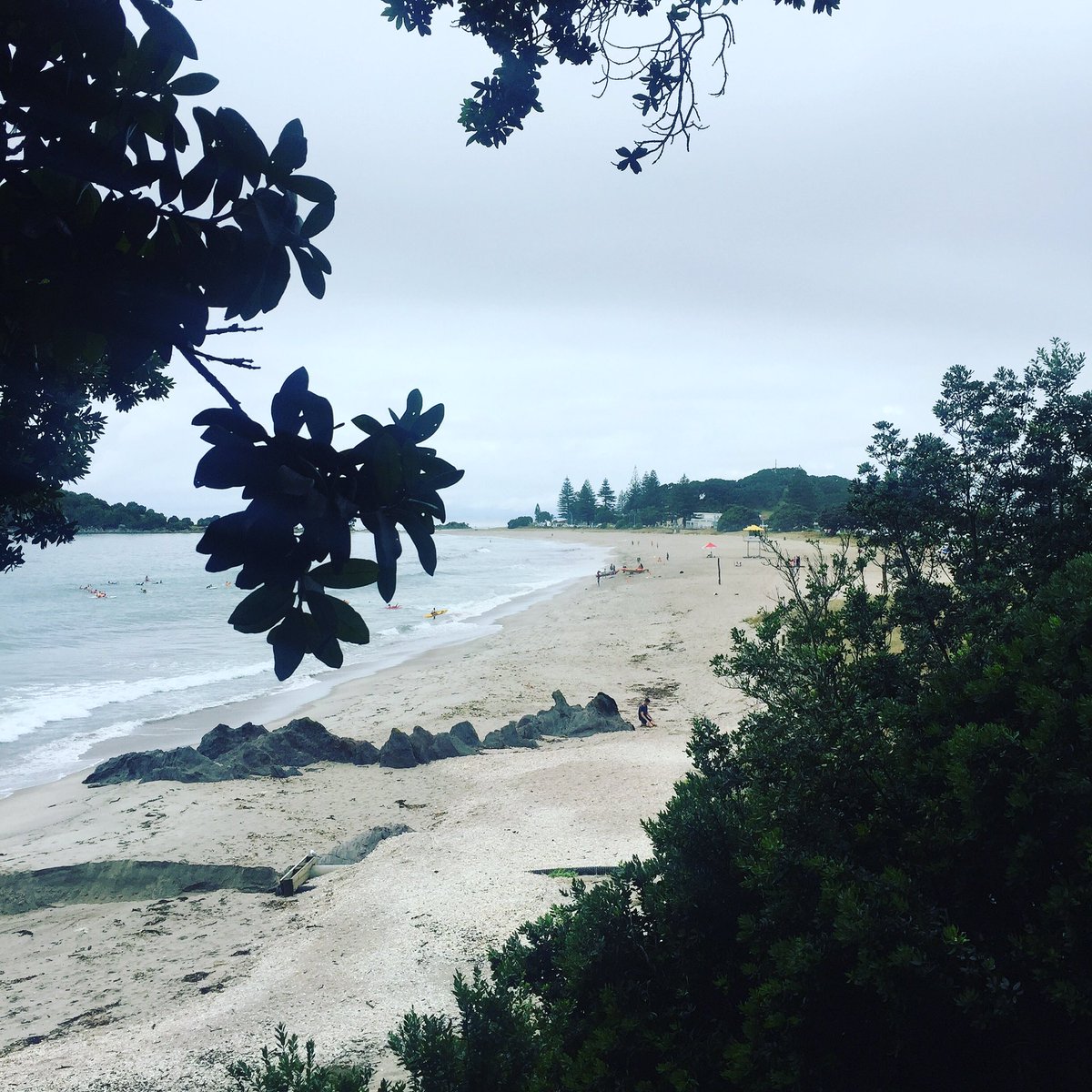 MichelleaBakker's tweet photo. Gorgeous morning walk @MountManganui #beachlife #Wanderlust #nomad #rediscovernz #longtimemates #nzbeauty #nz iwander @RemoteWorkerz ๐ https://t.co/lIjOfXnD0U