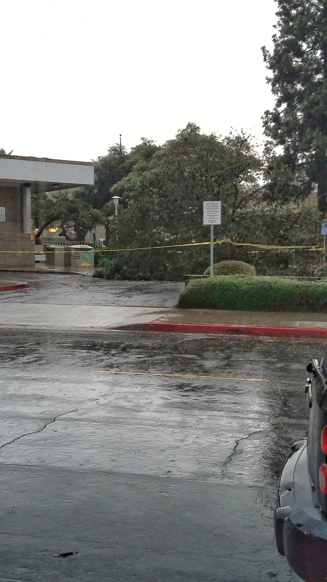 Alexshowcase's tweet photo. Rain is no joke today.. Tree coming to a slam at the La Puente library #abc7eyewitness #lapuente https://t.co/8Wd0xXES9m