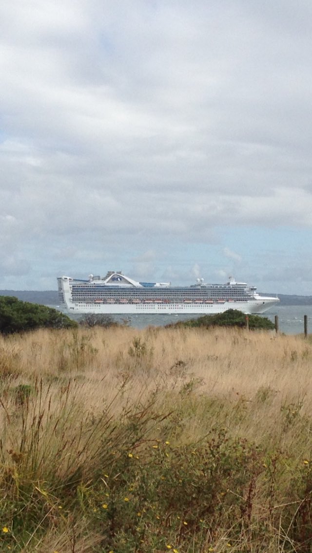 PIWalkabout's tweet image. Golden Princess comes to Phillip Island
