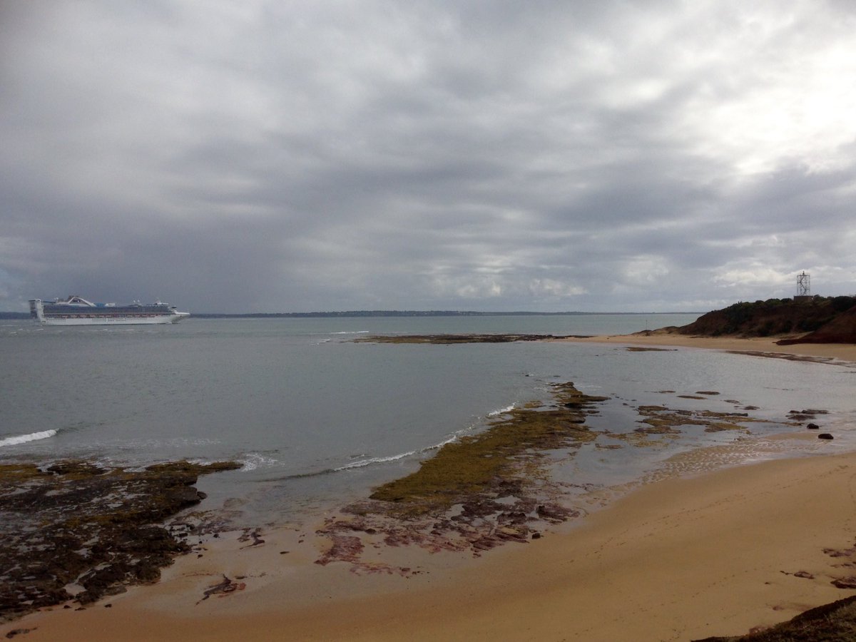 PIWalkabout's tweet image. Golden Princess comes to Phillip Island