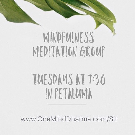 buddhacoaching's tweet photo. We’re excited to announce a new group in Petaluma on Tuesday nights at 7:30! We’ll meet ev… https://t.co/6D9SlR6TfY https://t.co/enneYnQoys