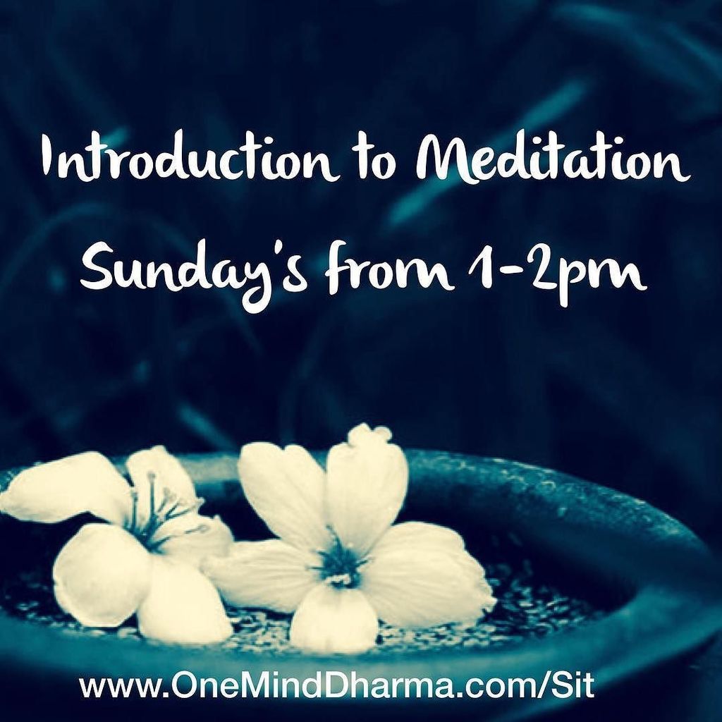 buddhacoaching's tweet photo. Join us on Sundays in Sausalito!

https://t.co/EI8RWw4wm6 https://t.co/wsq72PiPbv https://t.co/SFBLoGf2xr