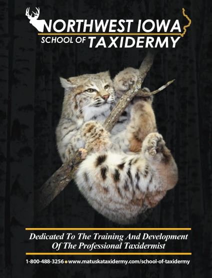 MatuskaSupplyCo's tweet photo. Our next school starts April 3rd registration is open – reserve your spot today! https://t.co/re5LJmwJ2h  #NWIST #learntaxidermy #taxidermy https://t.co/twe7vSxJLf