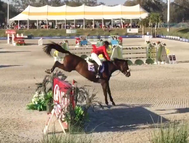 equuseas's tweet photo. #Beezie #NationsCup #HITSOcala2017 #doubleclean https://t.co/0caX7PYXYf