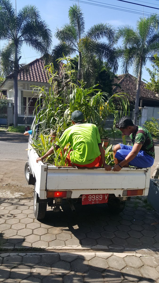 bayuhadiyanto2's tweet photo. Isi isi ngisi green house anggrek epark @bwangiberkebun @dpubmcktr_bwi @banyuwangi_kab @IDberkebun https://t.co/bg36Tiemof