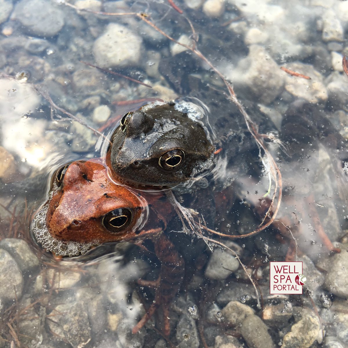 Einmal Huckepack ins #Wochenende  😊 #jedewocheeinfoto 😊 habt Spaß