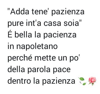 Spessofia's tweet photo. #quandosento
dir male di
NapoliéCittàche
brulicadivita
edistoria
Conunpassatograndioso
haenergie
perpartecipare
eprecedere
ilfuturo
BGaTutti https://t.co/6ZD5l2hiOb