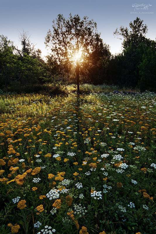 ���� ������ ���������������� ���������������������������