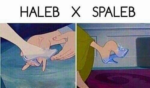 PLLWetpaint's tweet image. LOL! Accurate. #Haleb &amp;gt; #Spaleb --&amp;gt; buff.ly/2kBADGl #PLL #PLLEndGame