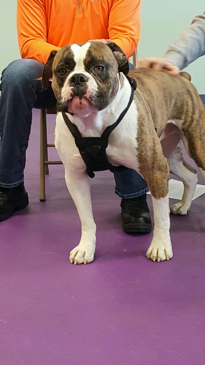 PCanine's tweet photo. https://t.co/6EOETCcXsi