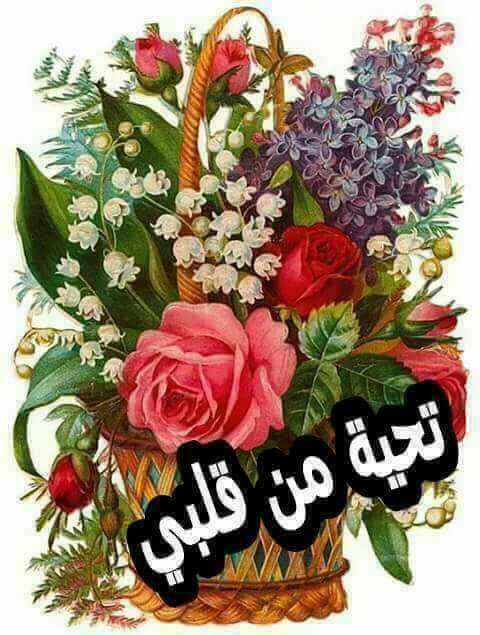 halaelalfy5's tweet photo. @AzezaJad صباح الجمال والسعادة ياقمر https://t.co/A3MobId7Z5