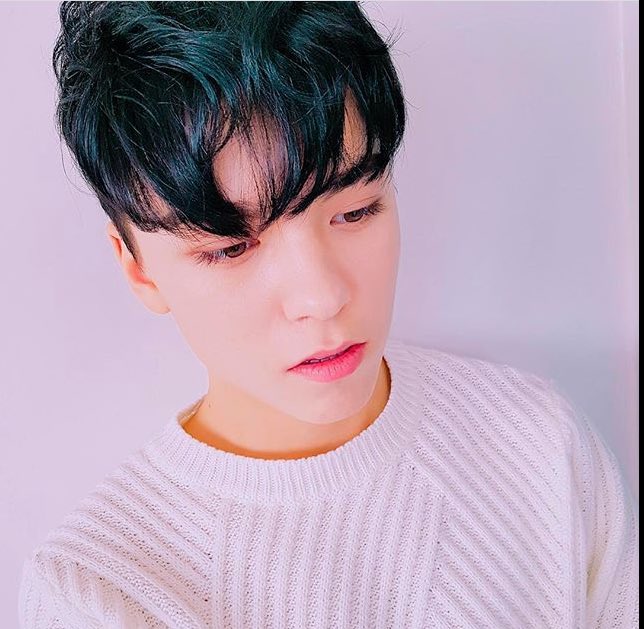 wonwoopsx's tweet image. Happiest birthday to these two angels! 🌸💕  #소중한_한솔이와_석민이의_생일을_축하해#Happy_DK_VERNON_Day