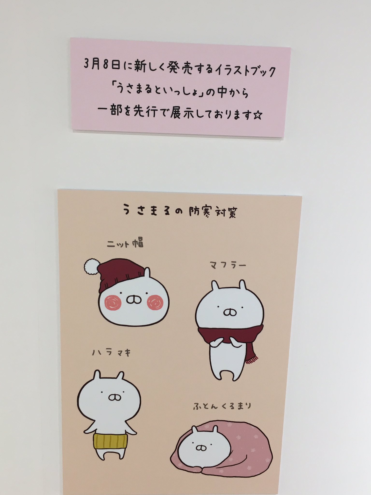 ニット帽(うさまる) 物悲しい ニット帽(うさまる) 物悲しい